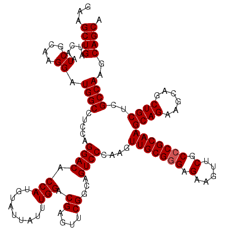 secondary structure