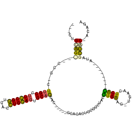 secondary structure