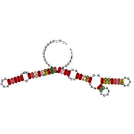 secondary structure