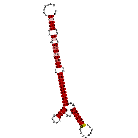 secondary structure