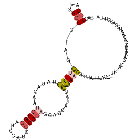 secondary structure