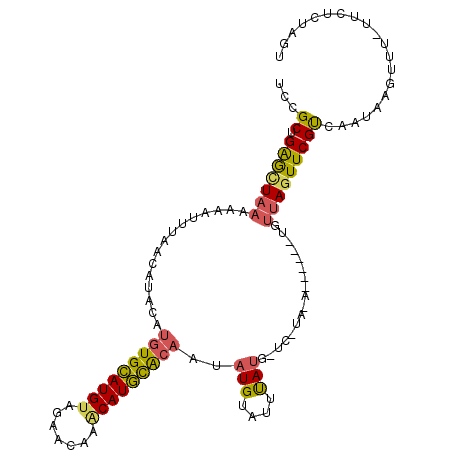 secondary structure