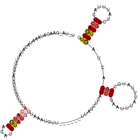 secondary structure