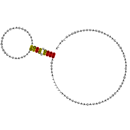 secondary structure