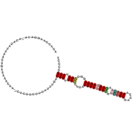 secondary structure