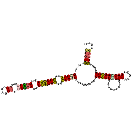 secondary structure