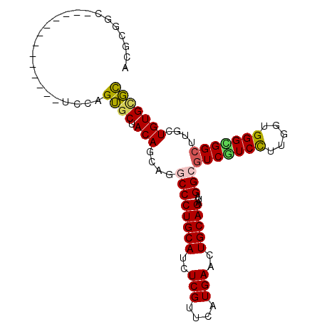 secondary structure