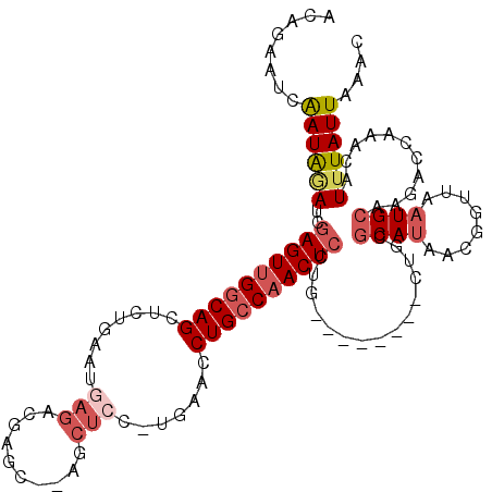 secondary structure