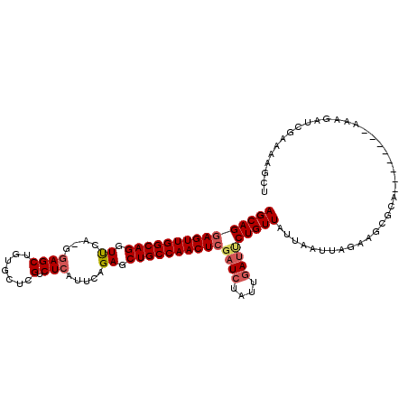 secondary structure