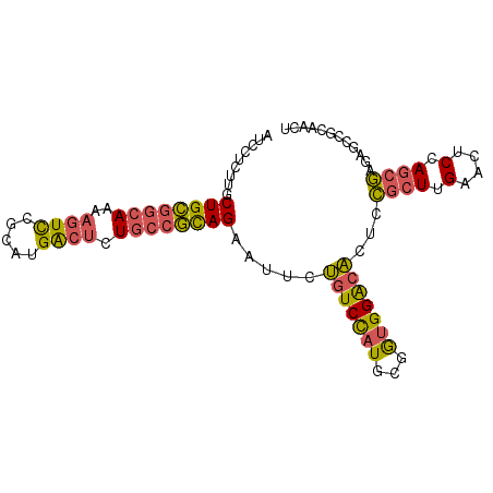 secondary structure