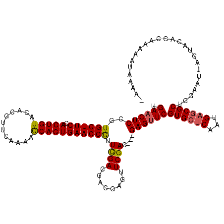 secondary structure