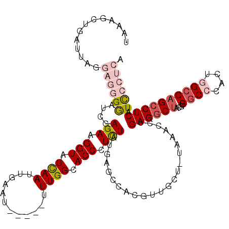 secondary structure