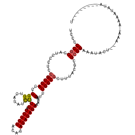 secondary structure