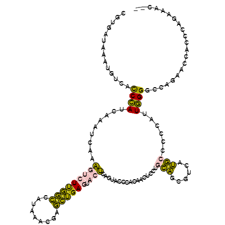 secondary structure