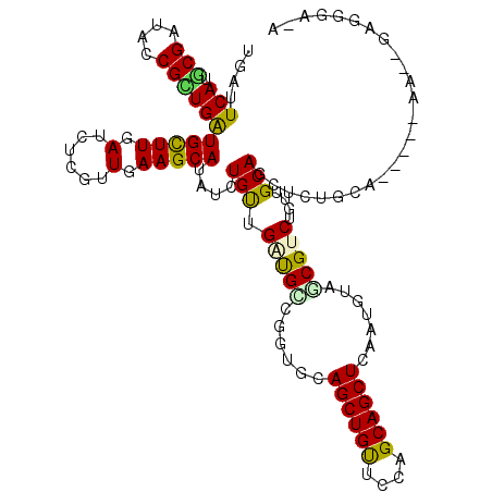 secondary structure