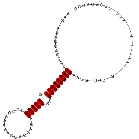 secondary structure