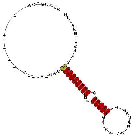 secondary structure