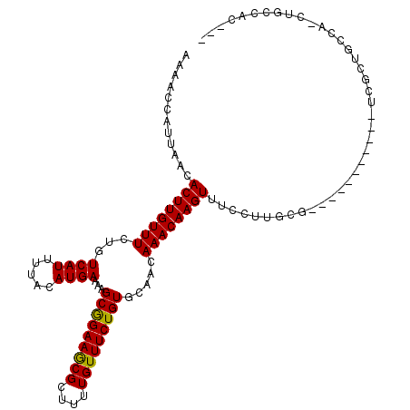 secondary structure