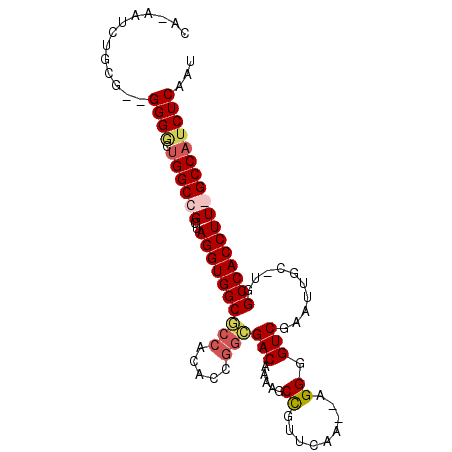 secondary structure