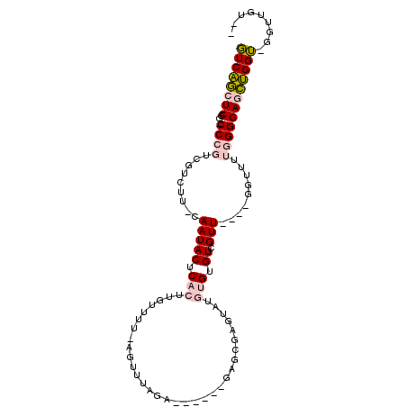 secondary structure