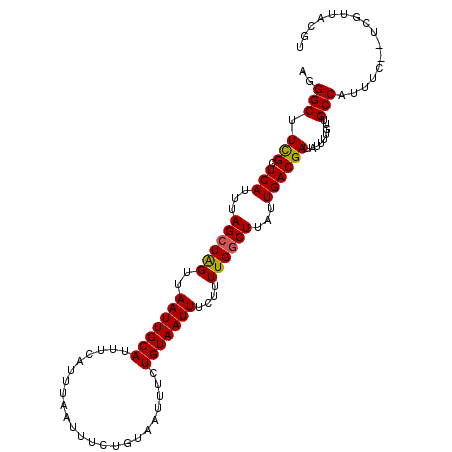 secondary structure
