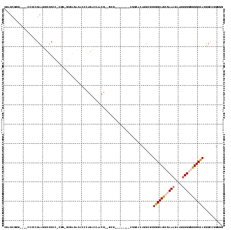 dotplot
