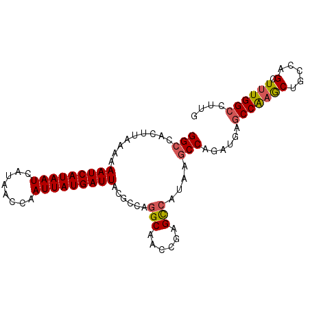 secondary structure
