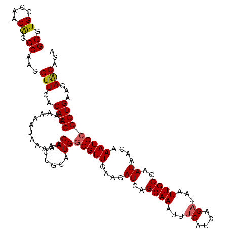 secondary structure