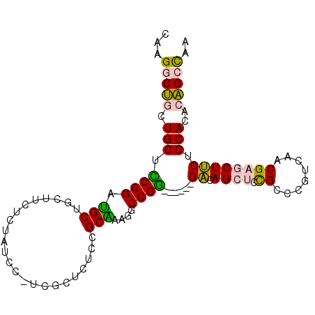 secondary structure