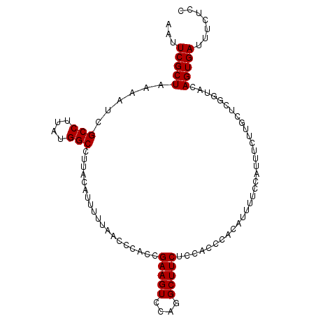 secondary structure