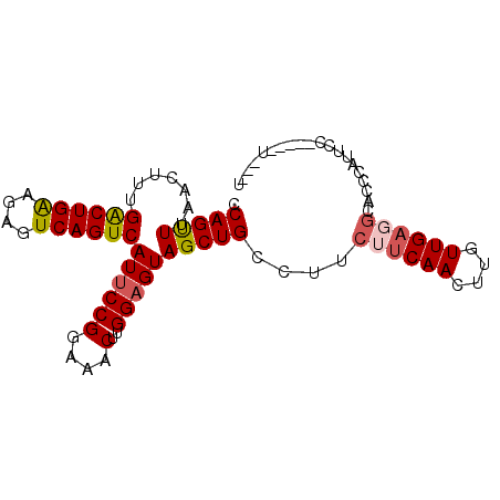 secondary structure