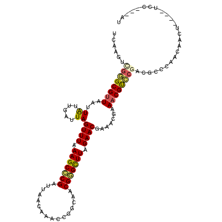 secondary structure