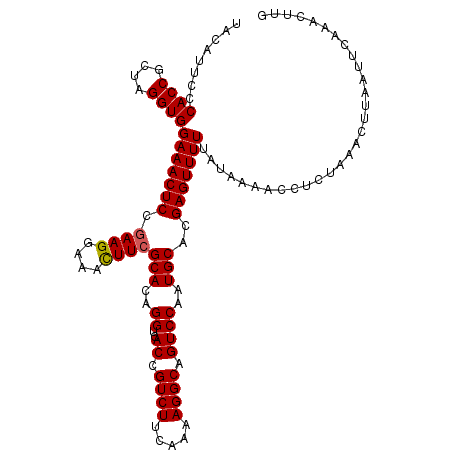secondary structure
