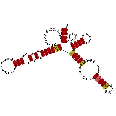 secondary structure