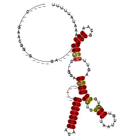 secondary structure