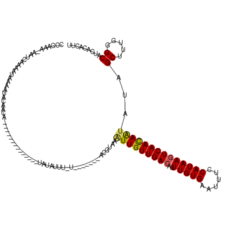 secondary structure