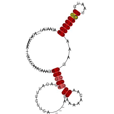 secondary structure