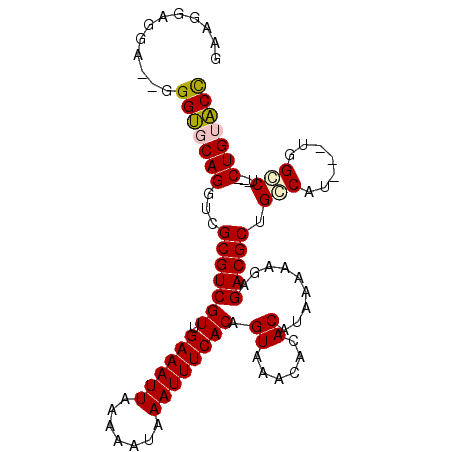 secondary structure