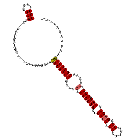 secondary structure