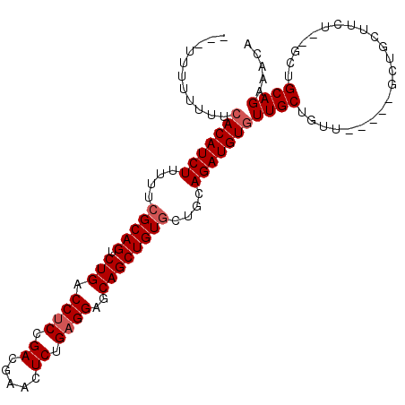 secondary structure