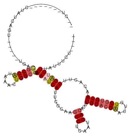 secondary structure