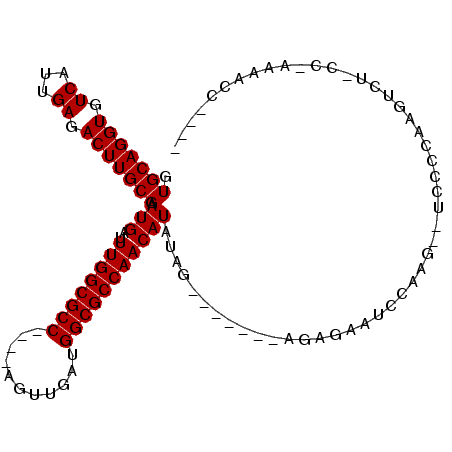 secondary structure