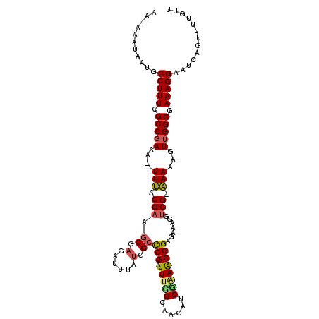 secondary structure