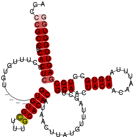 secondary structure