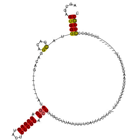 secondary structure