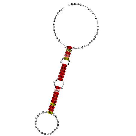 secondary structure