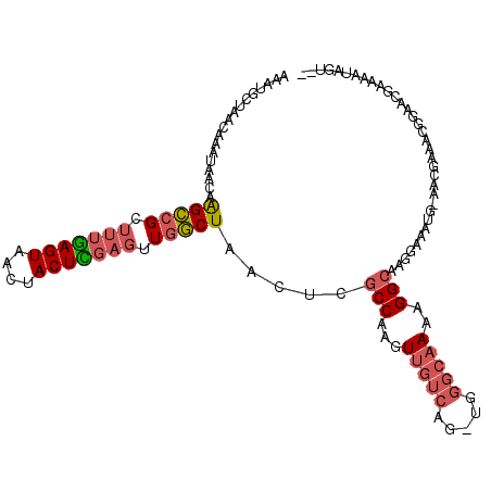 secondary structure