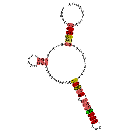 secondary structure