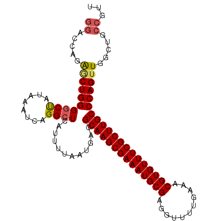 secondary structure