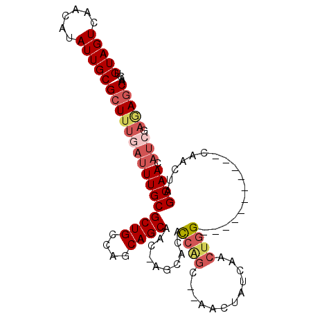 secondary structure